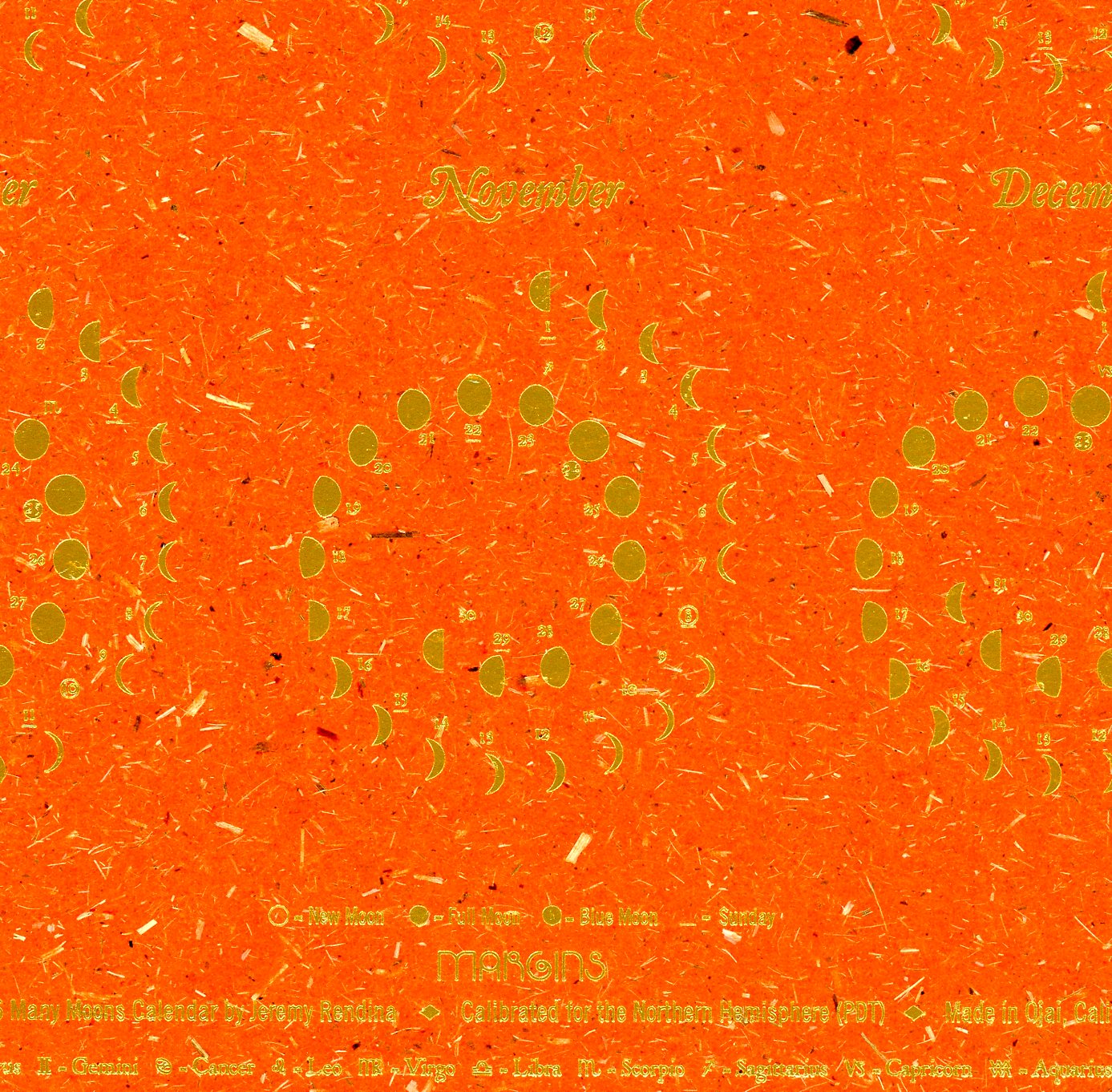 Apricot - Small