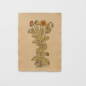 Poppies #2